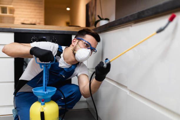 Best Best Pest Control Companies  in Fountainhead Orchard Hills, MD