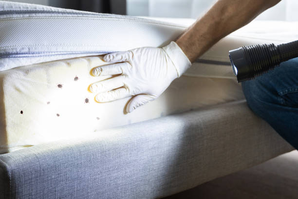 Best Affordable Pest Control Services  in Fountainhead Orchard Hills, MD