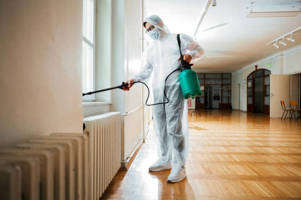 Best Local Pest Control Services  in Fountainhead Orchard Hills, MD